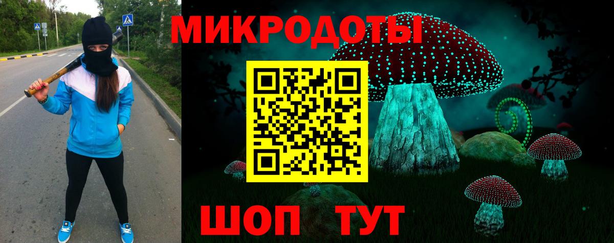 Псилоцибиновые грибы мухоморы Магадан